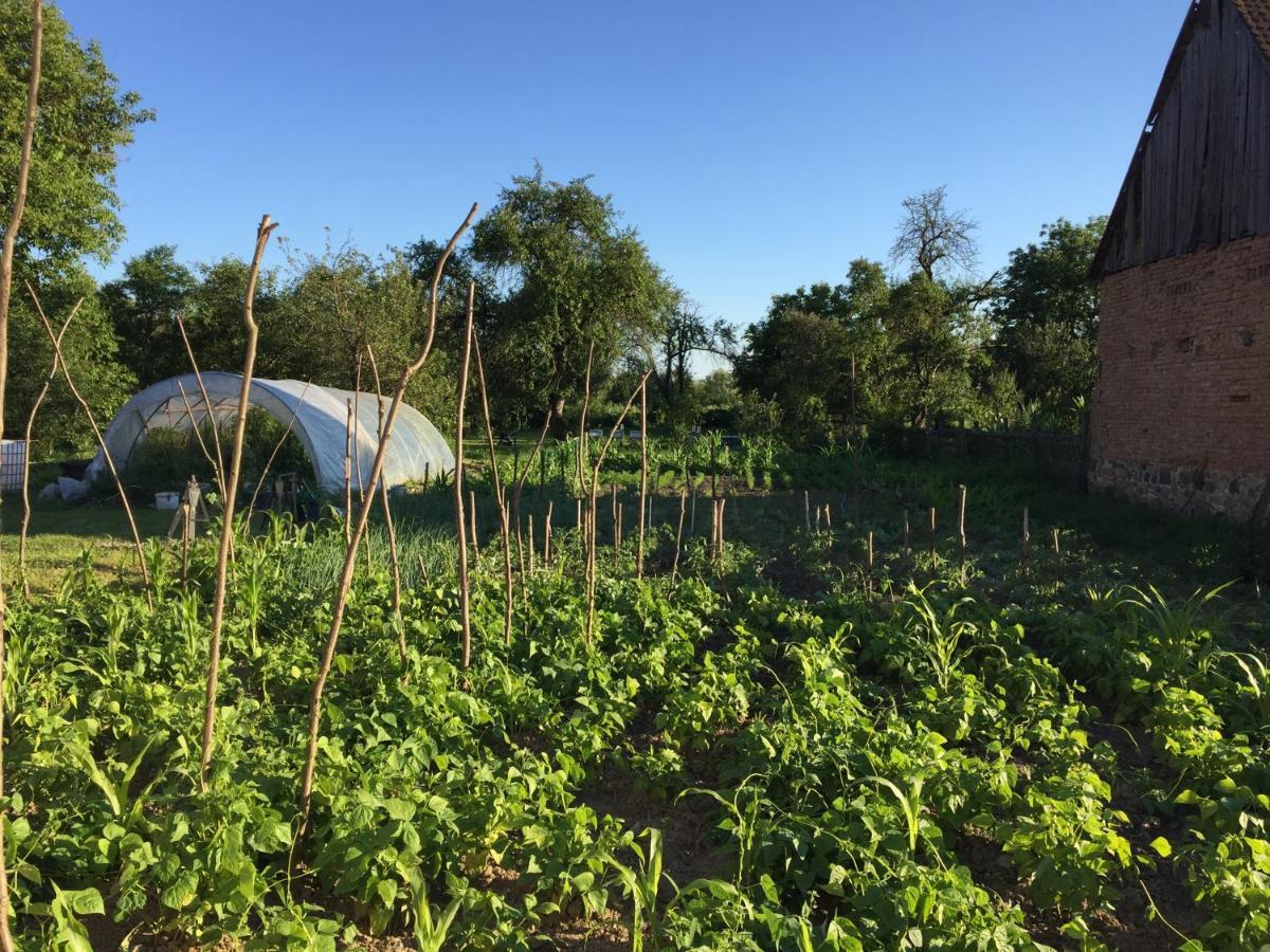 Pensiune Agroturistica Hanna Ocland Ngoại thất bức ảnh
